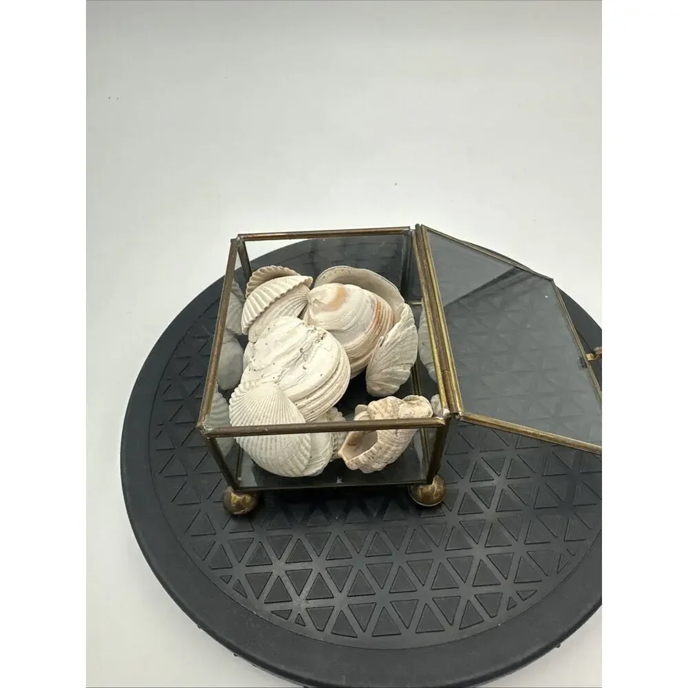 Vintage Glass Brass Trinket Tray With Seashells